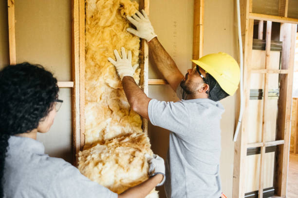 Best Fireproof Insulation  in Shenandoah Heights, PA